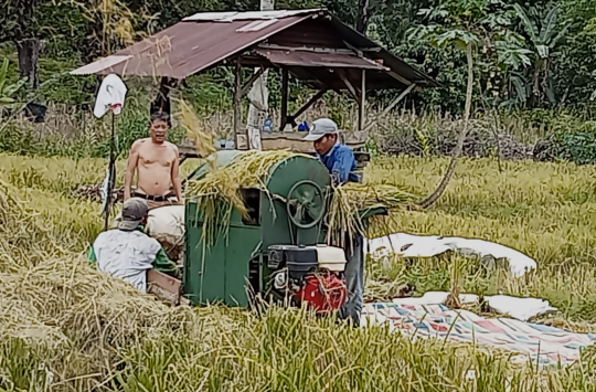 Petani di Tapteng Keluhkan Beratnya Ongkos Produksi